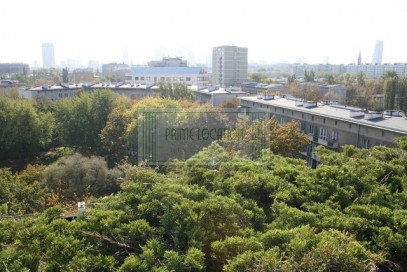Mieszkanie Wynajem Warszawa Śródmieście Stawki