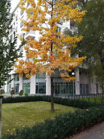 Mieszkanie Wynajem Warszawa Śródmieście Nalewki 9