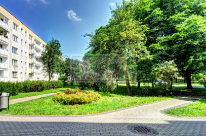 Mieszkanie Sprzedaż Warszawa Targówek Łojewska